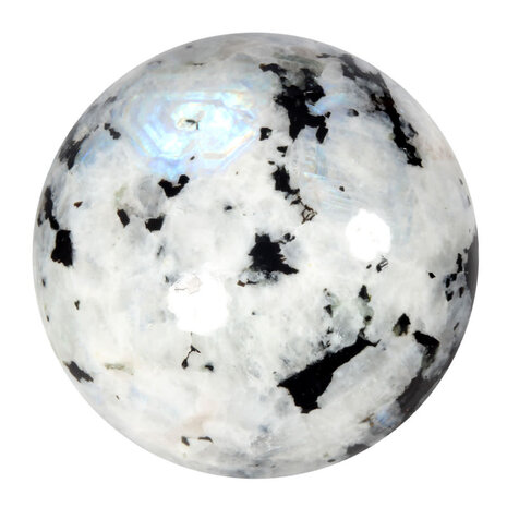 Maansteen (regenboog) bol A-kwaliteit 95 mm | 1561 gram Maansteen (regenboog) bol A-kwaliteit 95 mm | 1561 gram