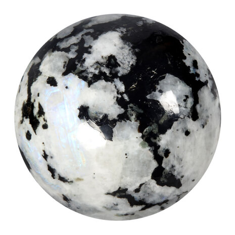 Maansteen (regenboog) bol A-kwaliteit 95 mm | 1561 gram Maansteen (regenboog) bol A-kwaliteit 95 mm | 1561 gram