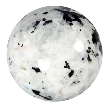Maansteen (regenboog) bol A-kwaliteit 95 mm | 1561 gram Maansteen (regenboog) bol A-kwaliteit 95 mm | 1561 gram