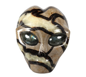 Septarie alien schedel 10 x 10,5 x 8,5 cm | 1330 gram Septarie alien schedel 10 x 10,5 x 8,5 cm | 1330 gram