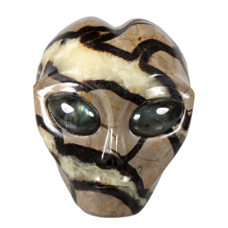 Septarie alien schedel 10 x 10,5 x 8,5 cm | 1330 gram Septarie alien schedel 10 x 10,5 x 8,5 cm | 1330 gram