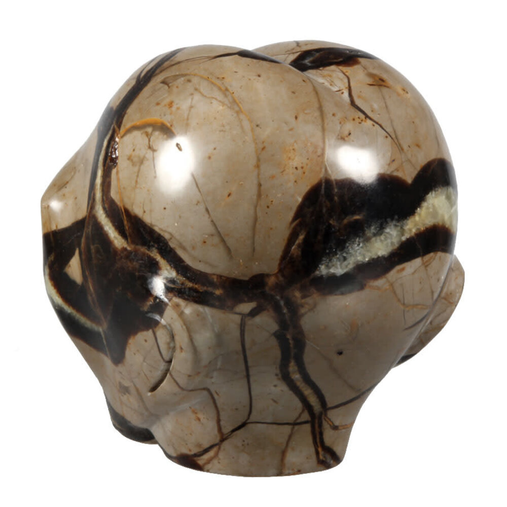 Septarie alien schedel 10 x 10,5 x 8,5 cm | 1330 gram Septarie alien schedel 10 x 10,5 x 8,5 cm | 1330 gram