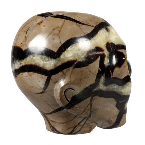 Septarie alien schedel 10 x 10,5 x 8,5 cm | 1330 gram Septarie alien schedel 10 x 10,5 x 8,5 cm | 1330 gram