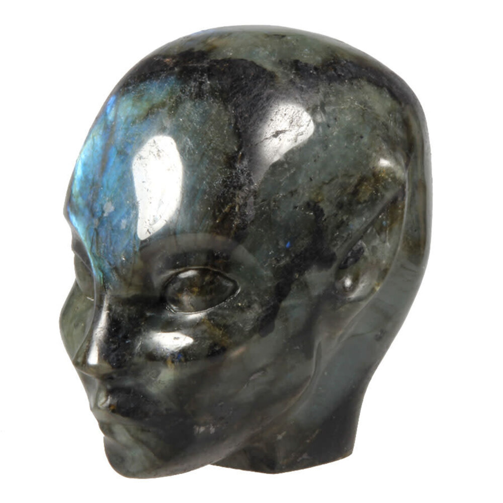 Labradoriet fairy schedel 10,3 x 10 x 7,3 cm | 1049 gram Labradoriet fairy schedel 10,3 x 10 x 7,3 cm | 1049 gram
