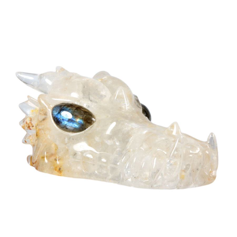 Golden healer draken schedel 12 x 9,5 x 22,5 cm | 2713 gram