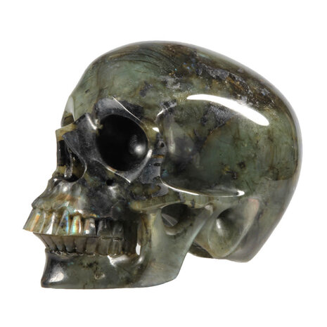 Labradoriet kristallen schedel 12 x 12,5 x 18 cm | 3437 gram Labradoriet kristallen schedel 12 x 12,5 x 18 cm | 3437 gram