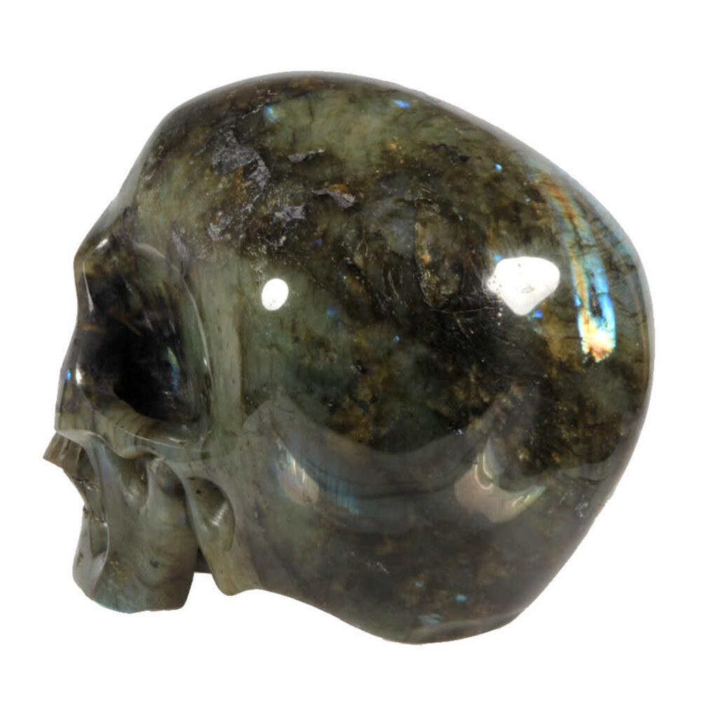 Labradoriet kristallen schedel 12 x 12,5 x 18 cm | 3437 gram Labradoriet kristallen schedel 12 x 12,5 x 18 cm | 3437 gram