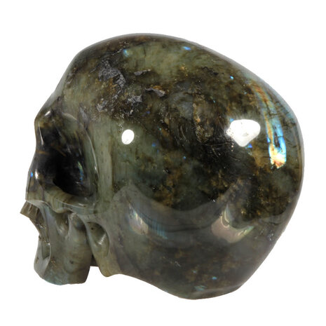 Labradoriet kristallen schedel 12 x 12,5 x 18 cm | 3437 gram Labradoriet kristallen schedel 12 x 12,5 x 18 cm | 3437 gram