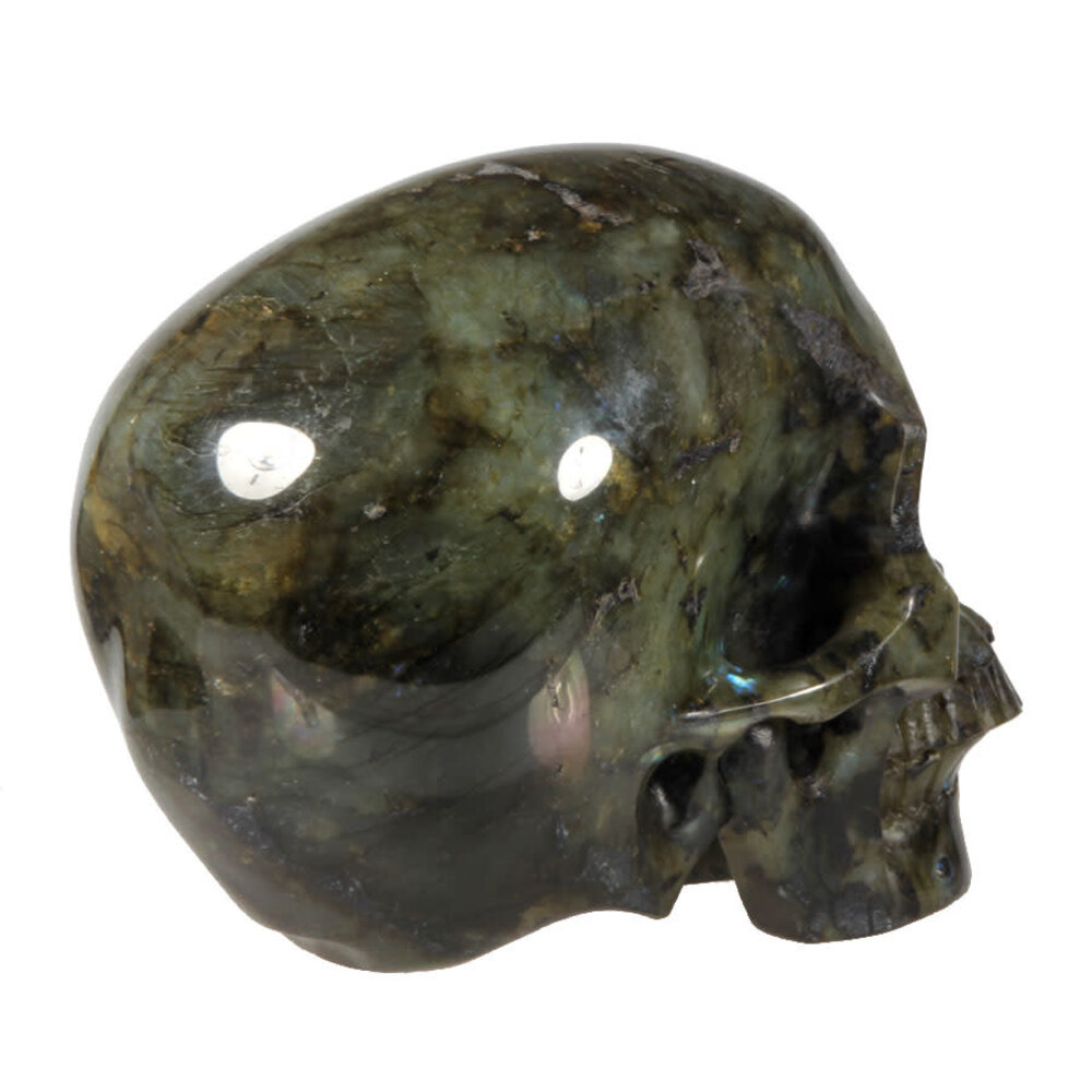 Labradoriet kristallen schedel 12 x 12,5 x 18 cm | 3437 gram Labradoriet kristallen schedel 12 x 12,5 x 18 cm | 3437 gram
