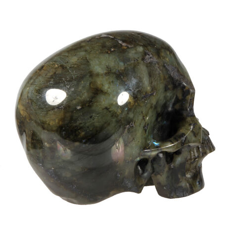 Labradoriet kristallen schedel 12 x 12,5 x 18 cm | 3437 gram Labradoriet kristallen schedel 12 x 12,5 x 18 cm | 3437 gram