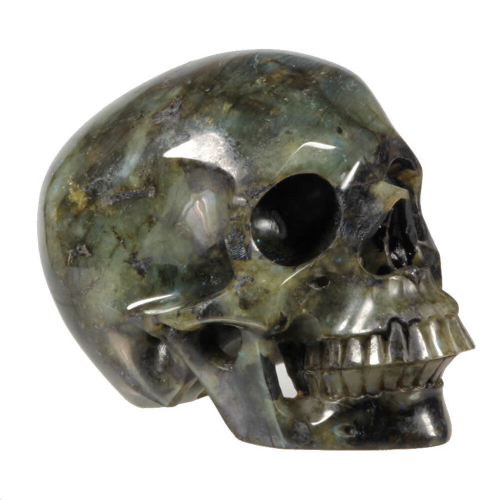Labradoriet kristallen schedel 12 x 12,5 x 18 cm | 3437 gram Labradoriet kristallen schedel 12 x 12,5 x 18 cm | 3437 gram