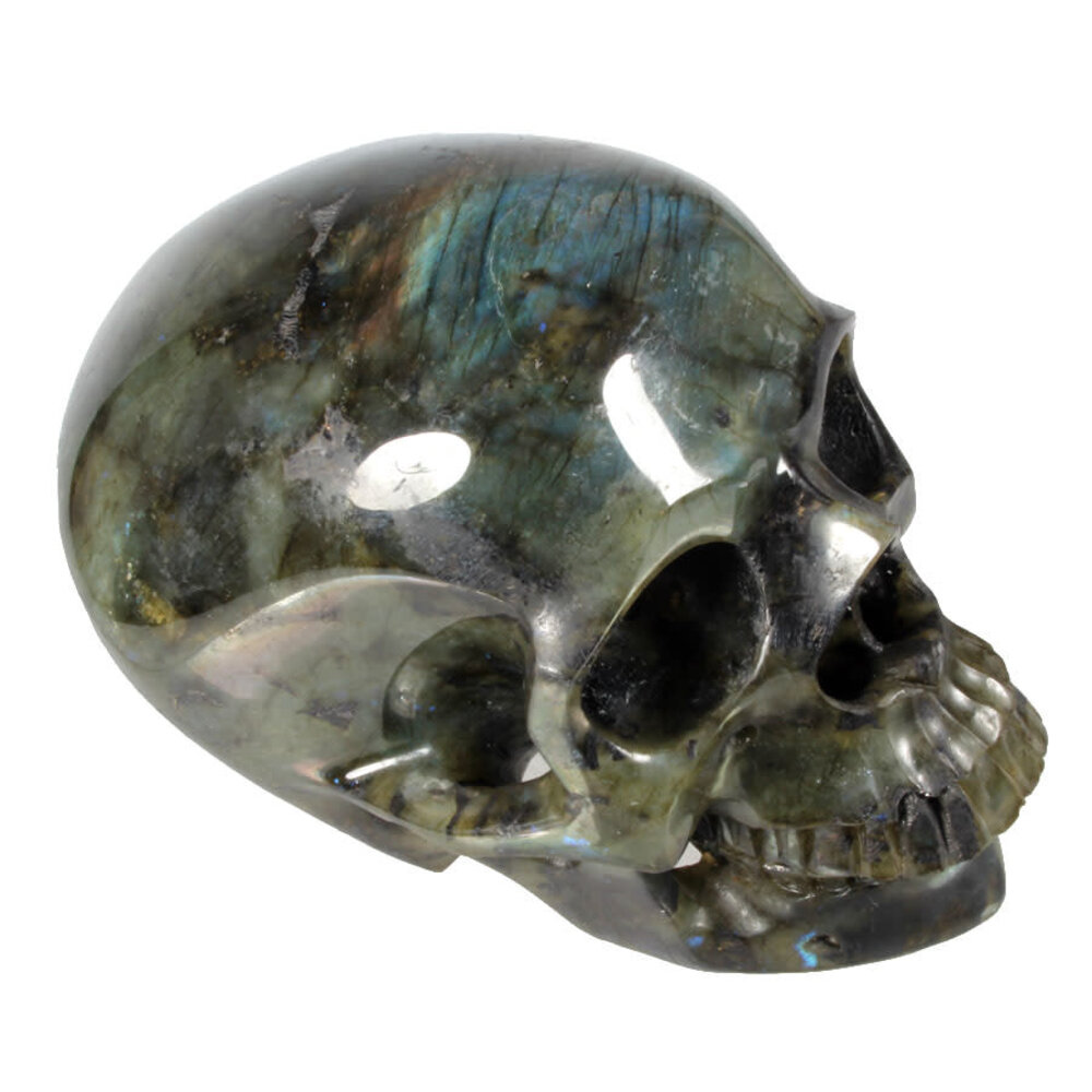 Labradoriet kristallen schedel 12 x 12,5 x 18 cm | 3437 gram Labradoriet kristallen schedel 12 x 12,5 x 18 cm | 3437 gram