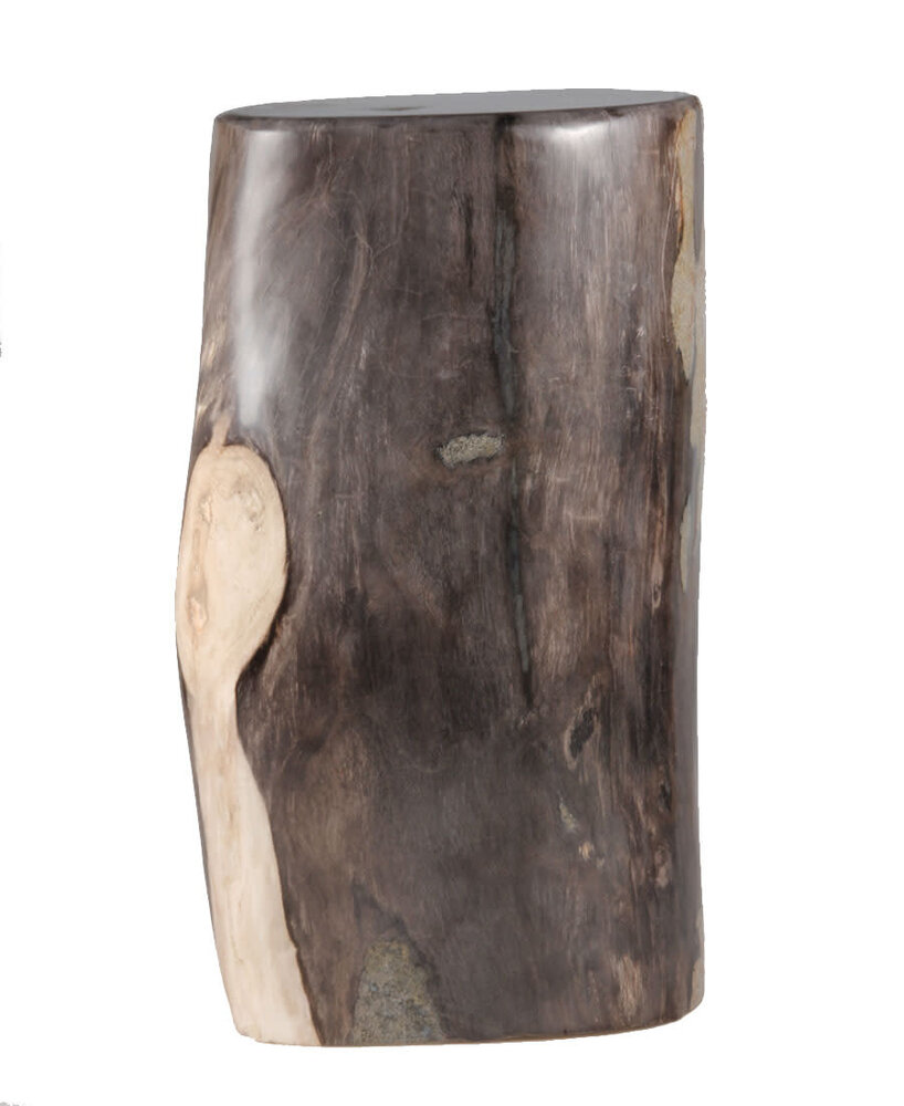 Versteend hout stam 30 x 17 x 12,5 cm / 9910 gram | gepolijst