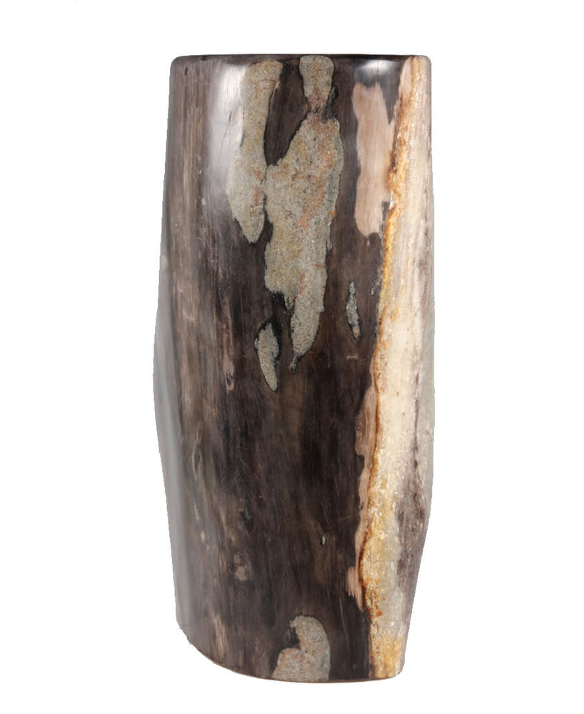 Versteend hout stam 30 x 17 x 12,5 cm / 9910 gram | gepolijst