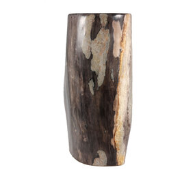 Versteend hout stam 30 x 17 x 12,5 cm / 9910 gram | gepolijst