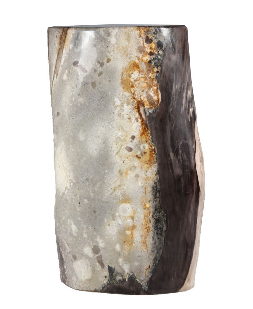 Versteend hout stam 30 x 17 x 12,5 cm / 9910 gram | gepolijst