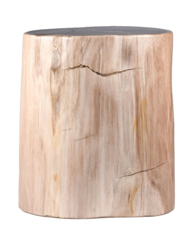 Versteend hout stam 24 x 20 x 16 cm / 12680 gram | gepolijst Versteend hout stam 24 x 20 x 16 cm / 12680 gram | gepolijst