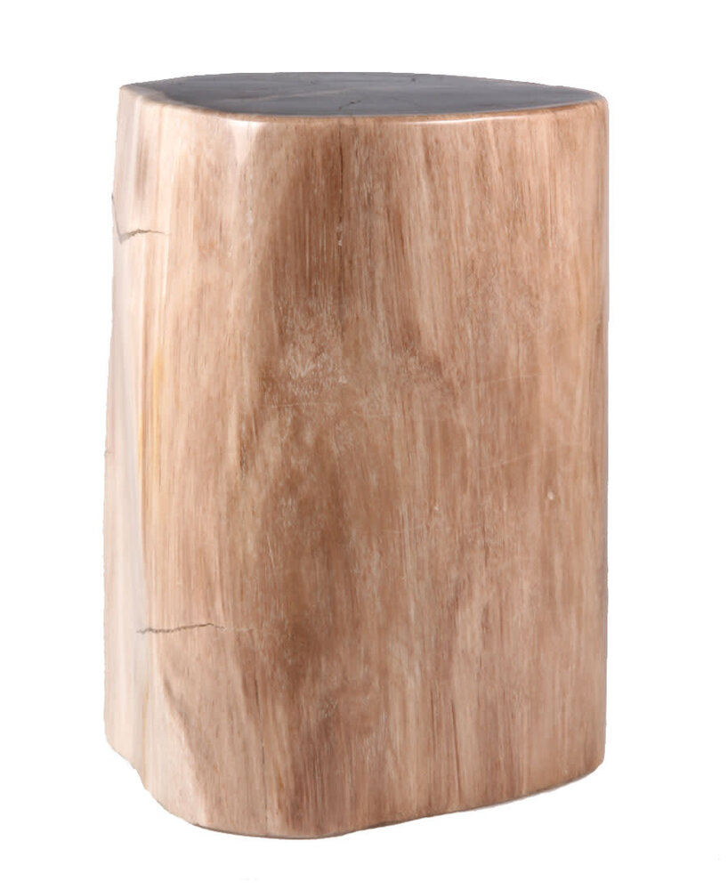 Versteend hout stam 24 x 20 x 16 cm / 12680 gram | gepolijst Versteend hout stam 24 x 20 x 16 cm / 12680 gram | gepolijst