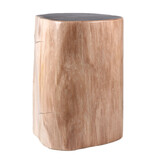 Versteend hout stam 24 x 20 x 16 cm / 12680 gram | gepolijst Versteend hout stam 24 x 20 x 16 cm / 12680 gram | gepolijst