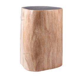 Versteend hout stam 24 x 20 x 16 cm / 12680 gram | gepolijst Versteend hout stam 24 x 20 x 16 cm / 12680 gram | gepolijst