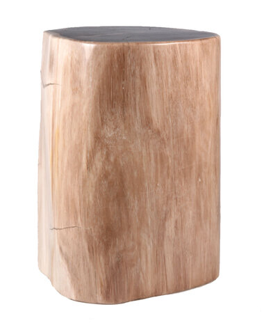 Versteend hout stam 24 x 20 x 16 cm / 12680 gram | gepolijst Versteend hout stam 24 x 20 x 16 cm / 12680 gram | gepolijst