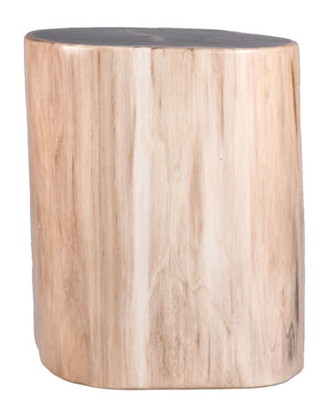 Versteend hout stam 24 x 20 x 16 cm / 12680 gram | gepolijst Versteend hout stam 24 x 20 x 16 cm / 12680 gram | gepolijst