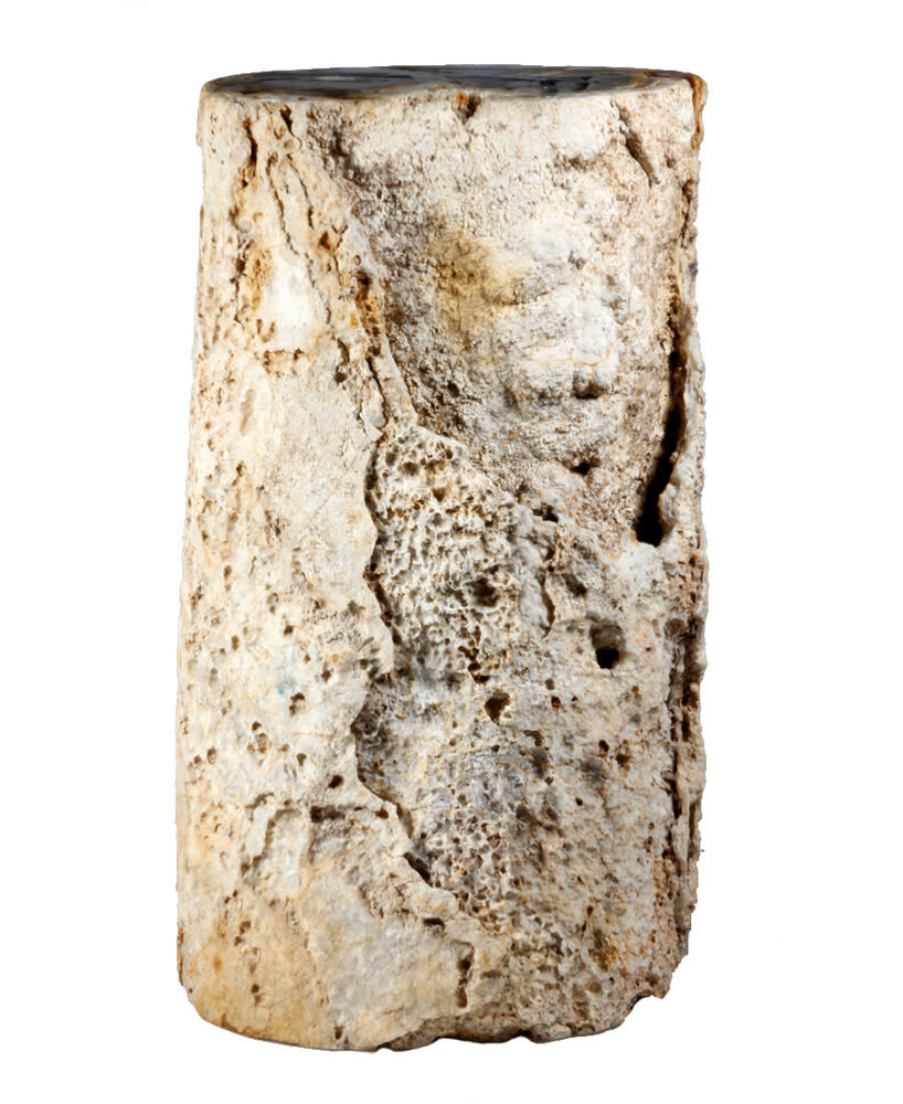 Versteend palmvaren hout stam 24 x 19 x 17 cm / 17950 gram | 1-zijde gepolijst Versteend palmvaren hout stam 24 x 19 x 17 cm / 17950 gram | 1-zijde gepolijst