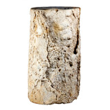 Versteend palmvaren hout stam 24 x 19 x 17 cm / 17950 gram | 1-zijde gepolijst Versteend palmvaren hout stam 24 x 19 x 17 cm / 17950 gram | 1-zijde gepolijst