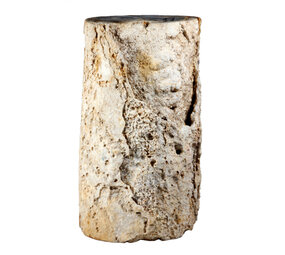 Versteend palmvaren hout stam 24 x 19 x 17 cm / 17950 gram | 1-zijde gepolijst Versteend palmvaren hout stam 24 x 19 x 17 cm / 17950 gram | 1-zijde gepolijst