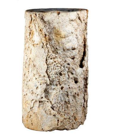 Versteend palmvaren hout stam 24 x 19 x 17 cm / 17950 gram | 1-zijde gepolijst Versteend palmvaren hout stam 24 x 19 x 17 cm / 17950 gram | 1-zijde gepolijst