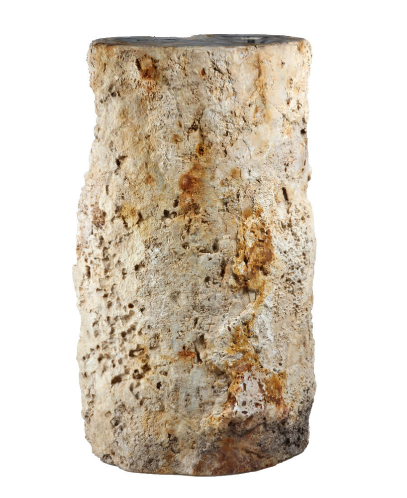 Versteend palmvaren hout stam 24 x 19 x 17 cm / 17950 gram | 1-zijde gepolijst Versteend palmvaren hout stam 24 x 19 x 17 cm / 17950 gram | 1-zijde gepolijst