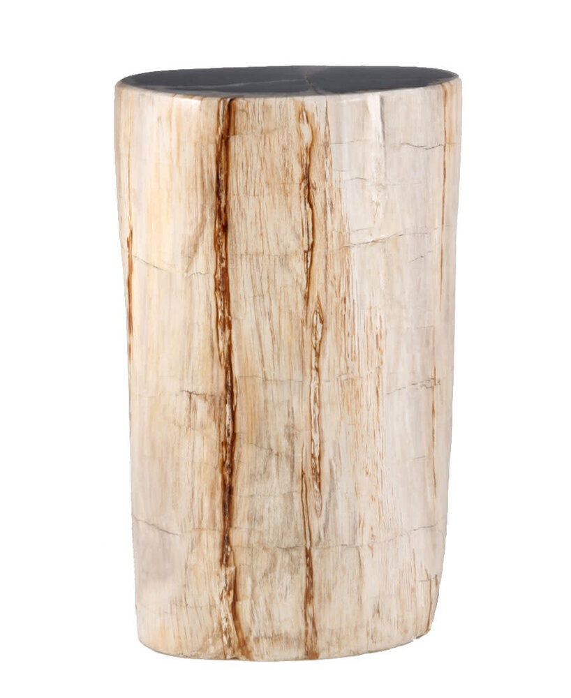 Versteend hout stam 28,5 x 16 x 10,5 cm / 7150 gram | gepolijst