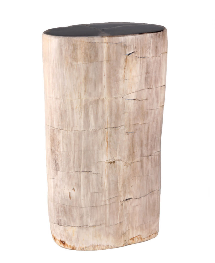 Versteend hout stam 28,5 x 16 x 10,5 cm / 7150 gram | gepolijst