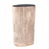 Versteend hout stam 28,5 x 16 x 10,5 cm / 7150 gram | gepolijst Versteend hout stam 28,5 x 16 x 10,5 cm / 7150 gram | gepolijst
