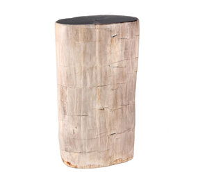 Versteend hout stam 28,5 x 16 x 10,5 cm / 7150 gram | gepolijst