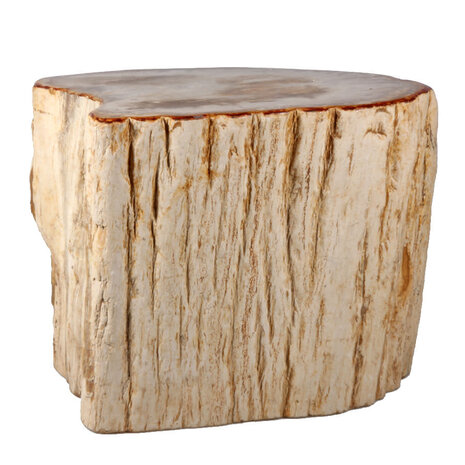 Versteend hout stam  22 x 17 x 14 cm / 9700 gram | deels gepolijst Versteend hout stam  22 x 17 x 14 cm / 9700 gram | deels gepolijst