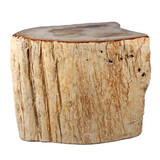Versteend hout stam 22 x 17 x 14 cm / 9700 gram | deels gepolijst Versteend hout stam 22 x 17 x 14 cm / 9700 gram | deels gepolijst