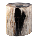 Versteend hout stam 22 x 20,5 x 18,5 cm / 15800 gram | gepolijst Versteend hout stam 22 x 20,5 x 18,5 cm / 15800 gram | gepolijst