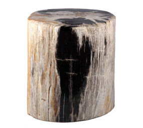 Versteend hout stam 22 x 20,5 x 18,5 cm / 15800 gram | gepolijst