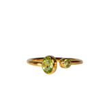 Gold filled ring peridoot maat 18 (licht verstelbaar) | 2 stenen Gold filled ring peridoot maat 18 (licht verstelbaar) | 2 stenen