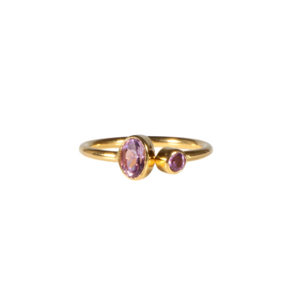 Gold filled ring amethist maat 18 (licht verstelbaar) | 2 stenen Gold filled ring amethist maat 18 (licht verstelbaar) | 2 stenen