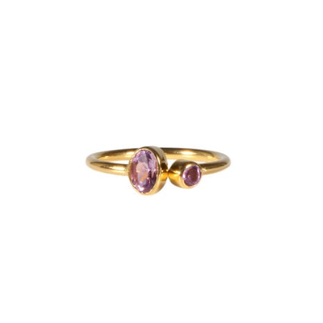 Gold filled ring amethist maat 18 (licht verstelbaar) | 2 stenen Gold filled ring amethist maat 18 (licht verstelbaar) | 2 stenen