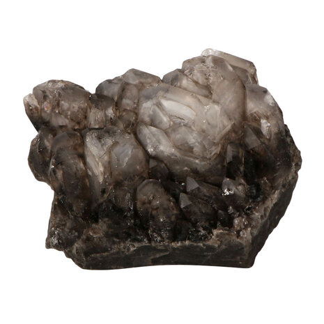 Rookkwarts alligator (elestiaal) cluster 15 x 11 x 8 cm | 1384 gram