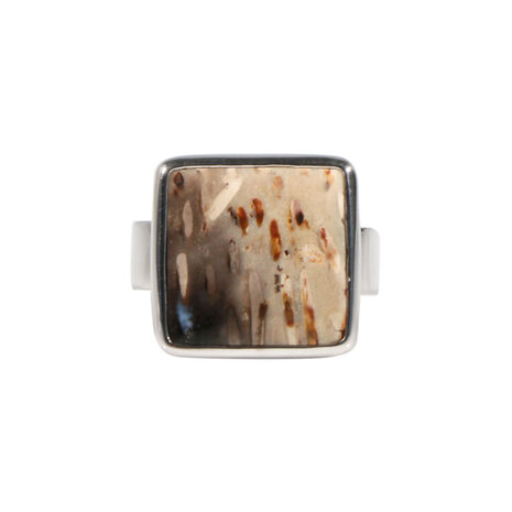 Zilveren ring versteend hout maat 19 | vierkant 1,6 x 1,6 cm