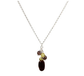 Zilveren ketting tros zelfvertrouwen Zilveren ketting tros zelfvertrouwen