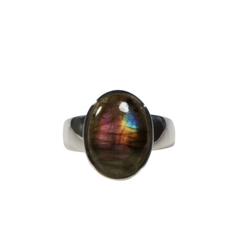 Zilveren ring labradoriet maat 19 1/2 | ovaal 1,6 x 1,2 cm Zilveren ring labradoriet maat 19 1/2 | ovaal 1,6 x 1,2 cm