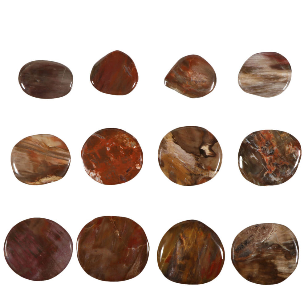 Versteend hout steen plat gepolijst Versteend hout steen plat gepolijst