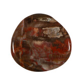 Versteend hout steen plat gepolijst Versteend hout steen plat gepolijst