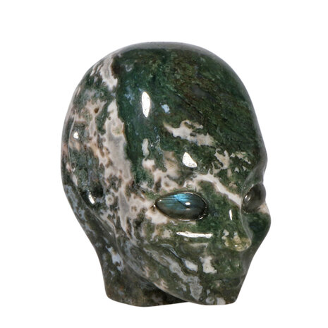 Mosagaat  fairy schedel 7,5 x 7 x 5 cm | 419 gram Mosagaat  fairy schedel 7,5 x 7 x 5 cm | 419 gram