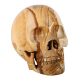 Jaspis (landschap) kristallen schedel 14,5 x 12 x 9 cm | 2195 gram Jaspis (landschap) kristallen schedel 14,5 x 12 x 9 cm | 2195 gram